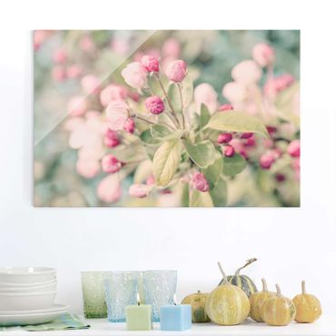 Glass print - Apple Blossom Bokeh Light Pink