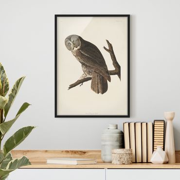 Framed poster - Vintage Board Great Owl