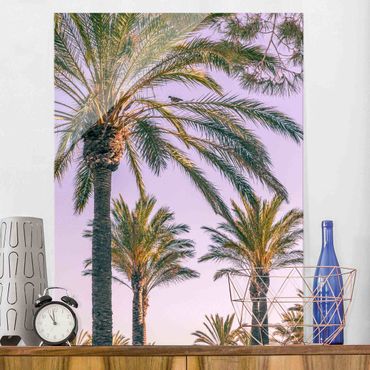 Glass print - Palm Trees At Sunset