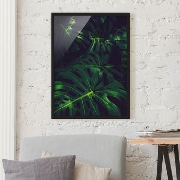 Framed poster - Monstera Jungle