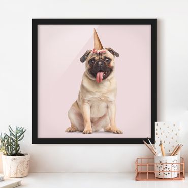 Framed poster - Mops With Ice Cream Cone