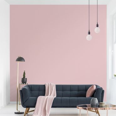 Wallpaper - Colour Rose