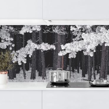 Kitchen wall cladding - Forest With Hoarfrost In Austria