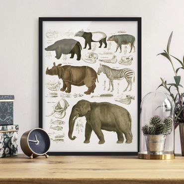 Framed poster - Vintage Board Elephant, Zebra And Rhino