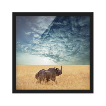 Framed poster - Rhino In The Savannah