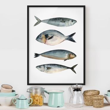 Framed poster - Four Fish In Watercolour II