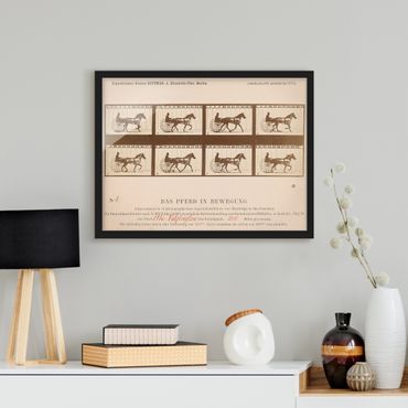 Framed poster - Eadweard Muybridge - The horse in Motion