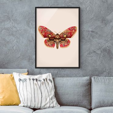 Framed poster - Vintage Moth