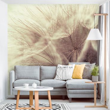 Wallpaper - Detailed Dandelion Macro Shot With Vintage Blur Effect