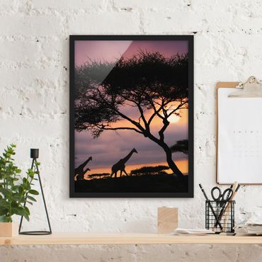 Framed poster - African Safari