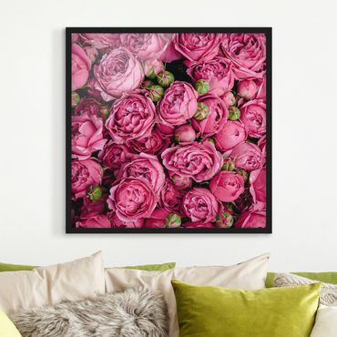 Framed poster - Pink Peonies