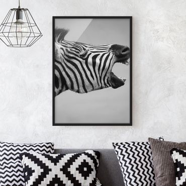 Framed poster - Roaring Zebra ll