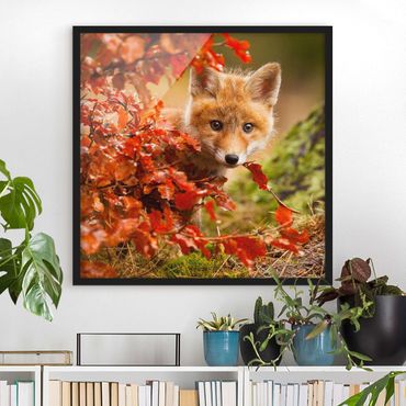 Framed poster - Fox In Autumn