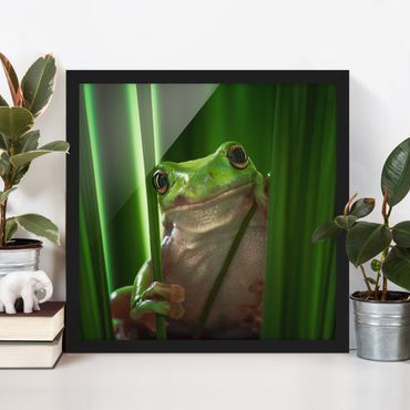 Framed poster - Merry Frog