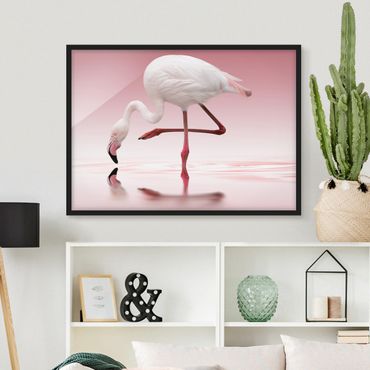 Framed poster - Flamingo Dance