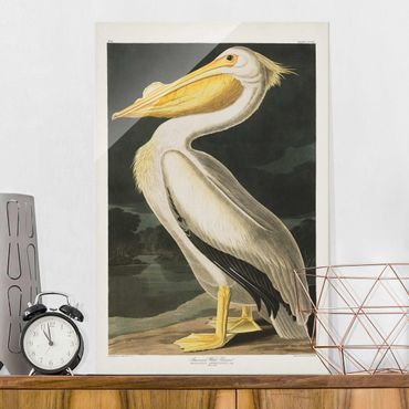 Glass print - Vintage Board White Pelican