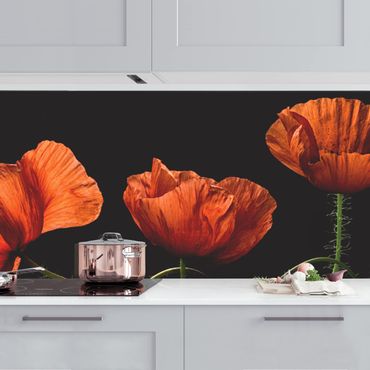 Kitchen wall cladding - Poppies At Midnight