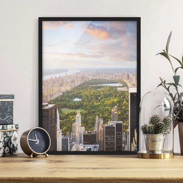 Framed poster - Overlooking Central Park
