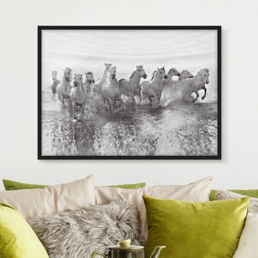 Framed poster - White Horses In The Ocean
