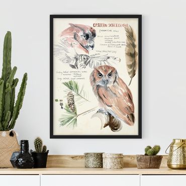 Framed poster - Wilderness Journal - Owl