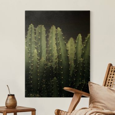 Canvas print gold - Desert Cactus At Night