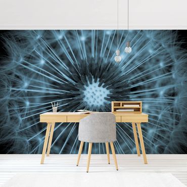 Wallpaper - Blue Tinted Dandelion