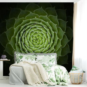 Wallpaper - Mandala Succulent