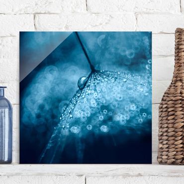 Glass print - Blue Dandelion In The Rain