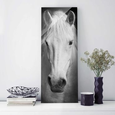 Glass print - Dream Of A Horse