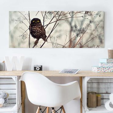Glass print - Owl In The Winter