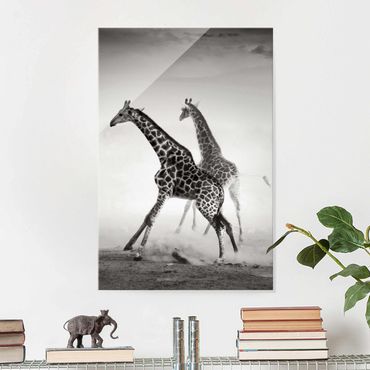 Glass print - Giraffe Hunt