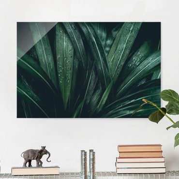 Glass print - Green Palm Leaves