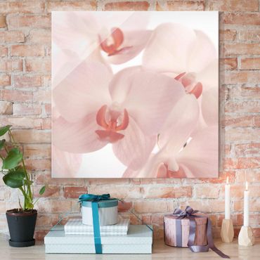 Glass print - Bright Orchid Flower Wallpaper - Svelte Orchids
