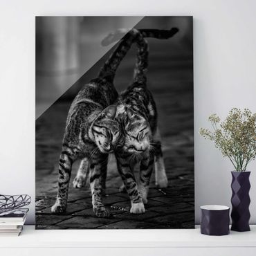 Glass print - Cat Friendship