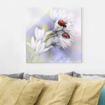 Glass print - Ladybird Couple