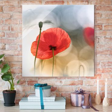 Glass print - Poppies In The Morning