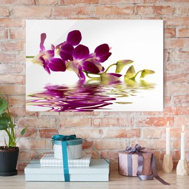 Glass print - Pink Orchid Waters