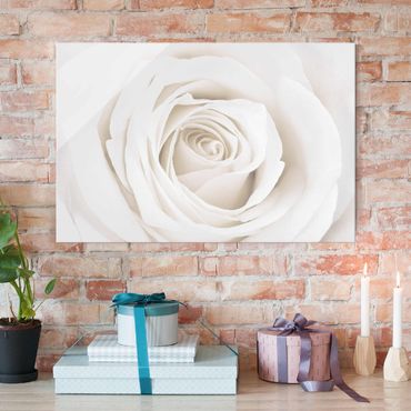 Glass print - Pretty White Rose