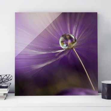 Glass print - Dandelion In Violet