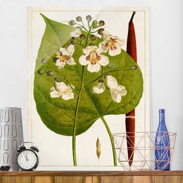 Glass print - Tableau Leaf Flower Fruit V