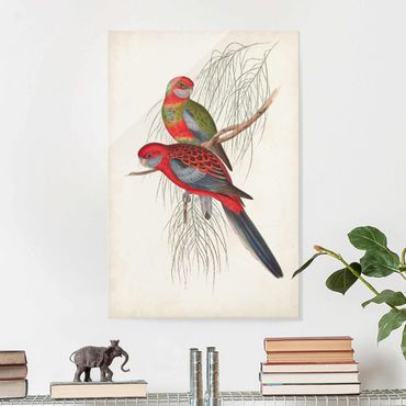 Glass print - Tropical Parrot III