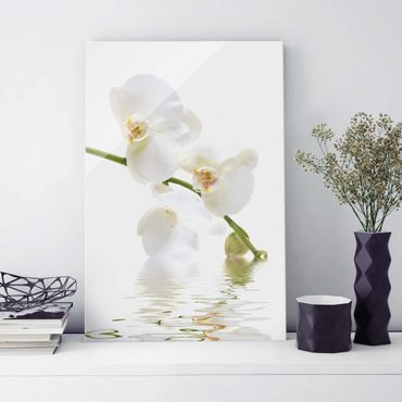 Glass print - White Orchid Waters