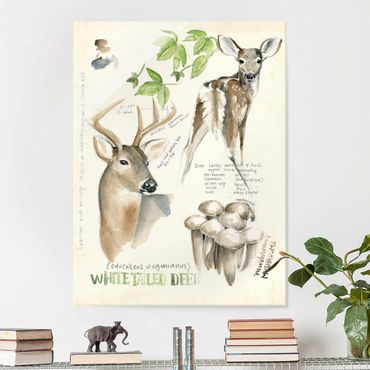 Glass print - Wilderness Journal - Deer