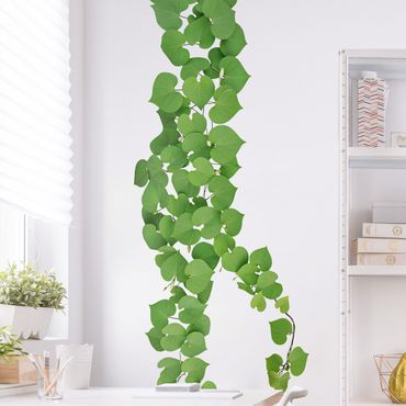 Wall sticker - Heart-shaped leaves tendril
