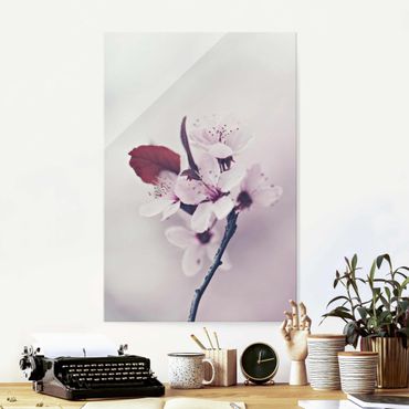 Glass print - Cherry Blossom Branch Antique Pink