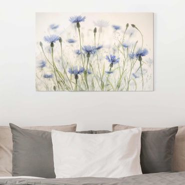 Glass print - Cornflowers And Grasses In A Field