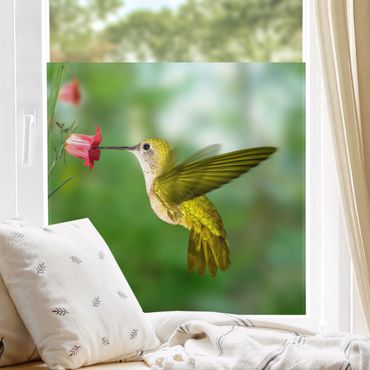 Window decoration - Hummingbird And Flower