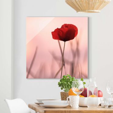 Glass print - Poppy Flower In Twilight