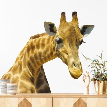 Wall sticker - Curious giraffe