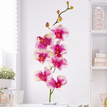 Wall sticker - No.176 Orchid Rose I